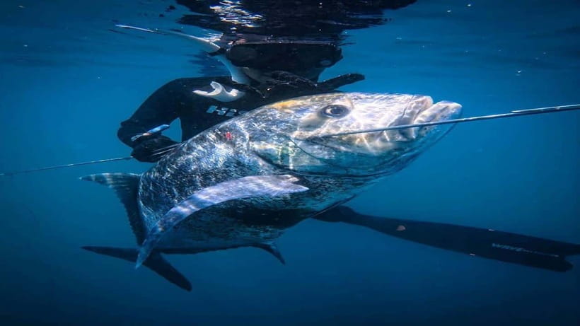Gili Meno: Experience the Thrill of Spearfishing Adventures! - An In-Depth Look at the Gili Meno Spearfishing Experience