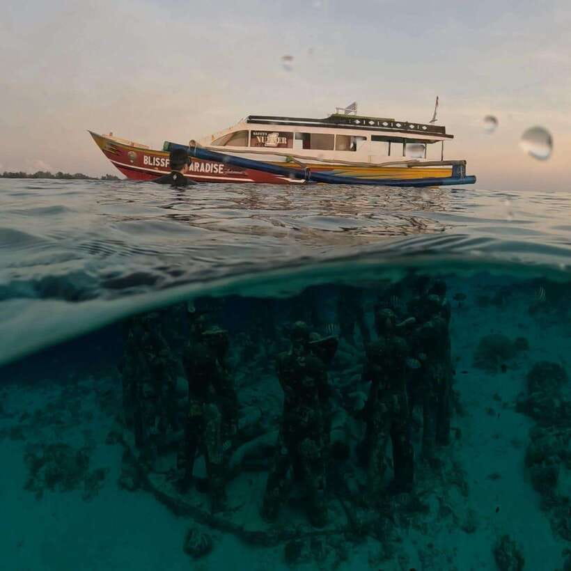 Gili Trawangan : Privat & Sharing Snorkeling Tour 3 Gili - How This Tour Compares and Who Will Love It  