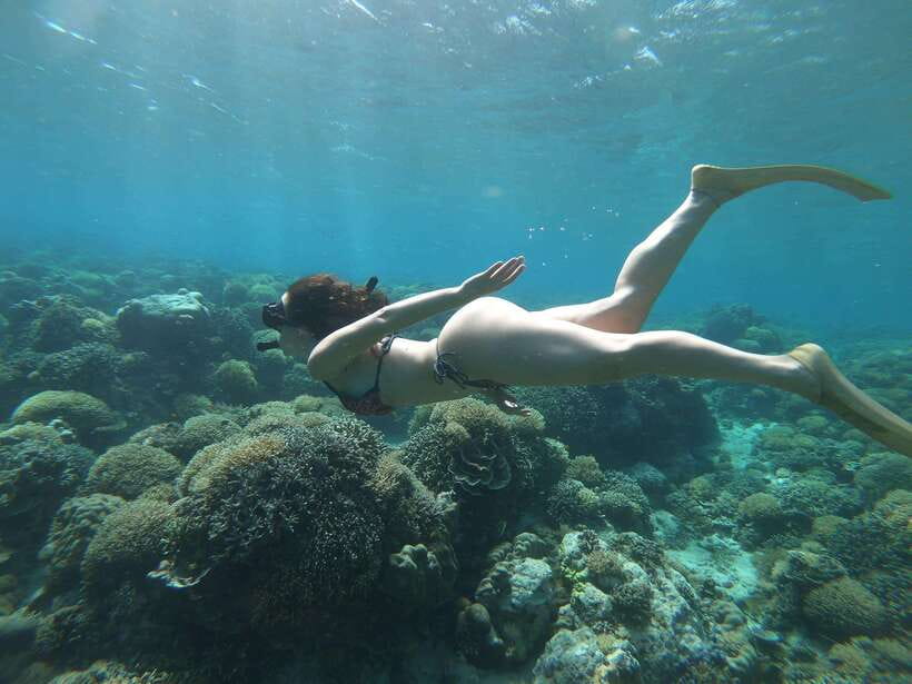Gili Trawangan: Private Snorkeling (Coral, Statues, Turtles) - What Makes This Tour Stand Out