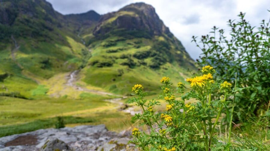 Glasgow: Mountains, Glens & The Loch Ness Monster Day Tour - The Experience: What Works and What Could Be Better