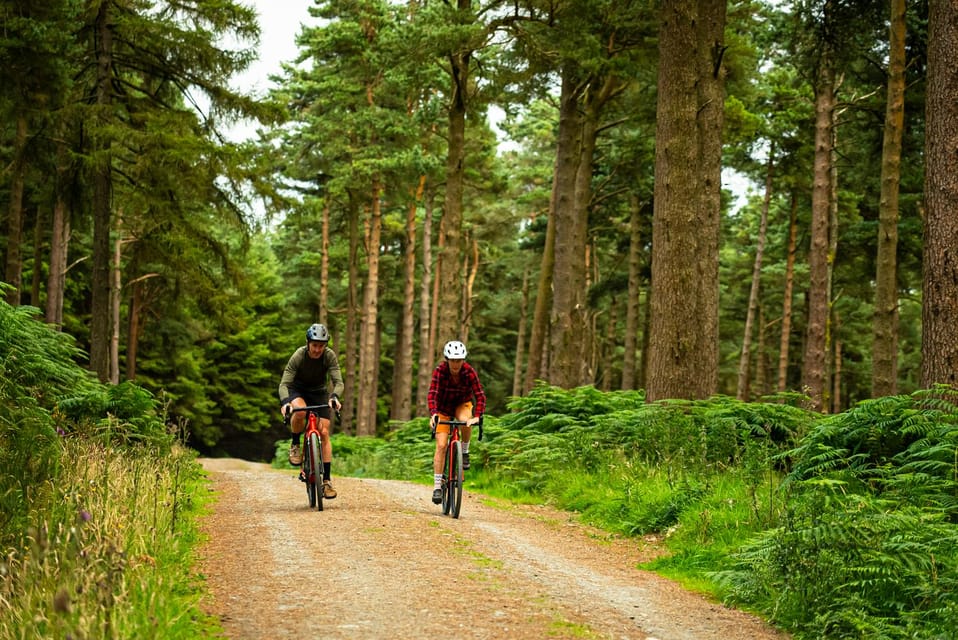 Gravel Bike Ride Dublin - The Sum Up: Who Will Love This Tour?