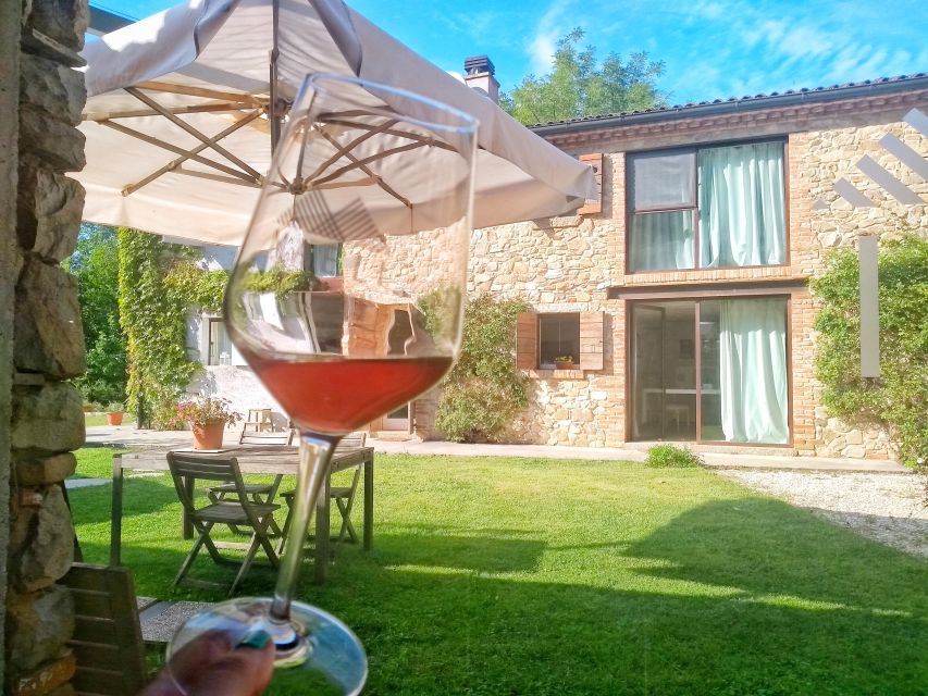 Guided Olive Oil & Wine Tour From Padua - What Makes This Tour Special: Highlights and Details
