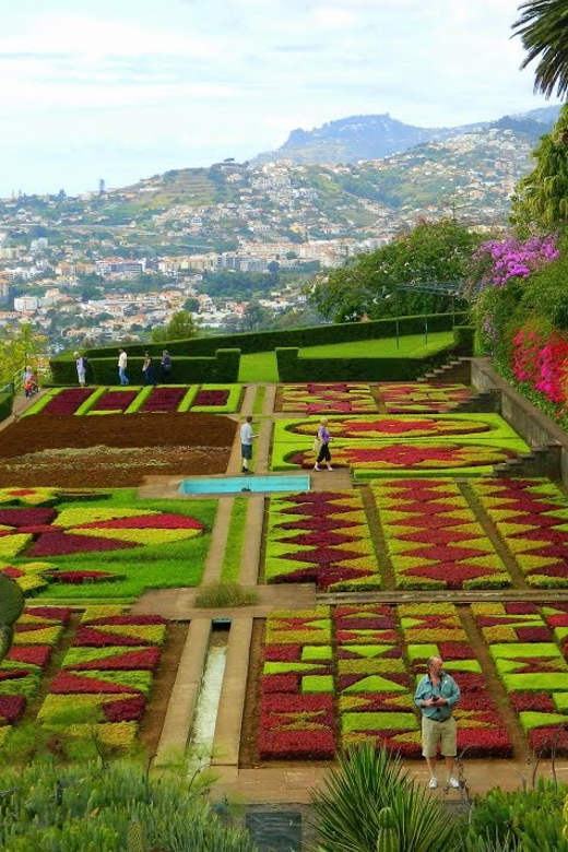 Guided Tuk-Tuk Tour to Botanical Garden (From Funchal) - Final Thoughts