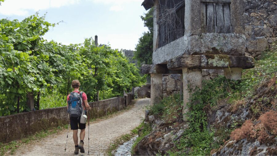 Guided Walk & Picnic Peneda Gerês National Park - An In-Depth Look at the Guided Walk & Picnic Tour