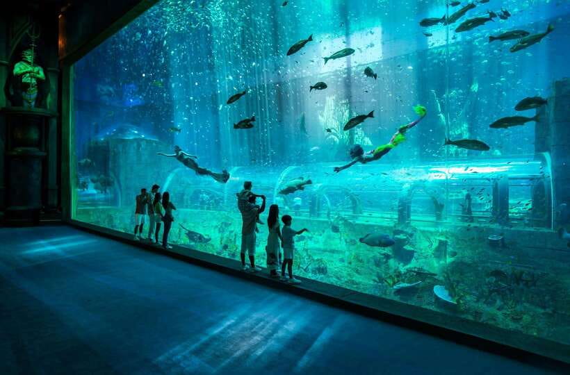 Ha Noi: VinKE and Vinpearl Aquarium Entry Ticket - Venue Overview