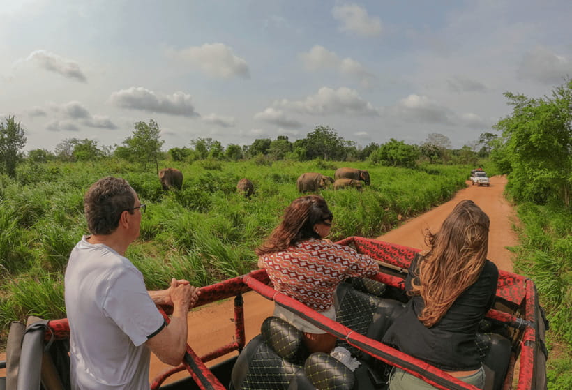 Habarana: Hurulu Eco Park Half Day Safari with Hotel Pickup - The Experience: What to Expect During the Safari