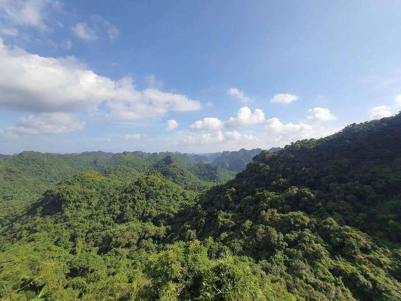 Half Day Hiking to Cat Ba National Park With a Guide - Itinerary Highlights