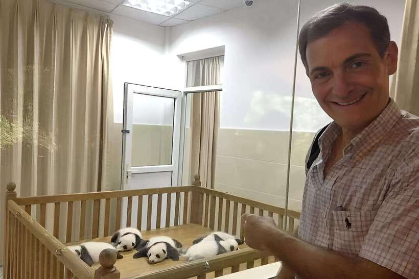 Half day small group tour to Chengdu Panda Breeding Center - Detailed Review of the Tour Experience