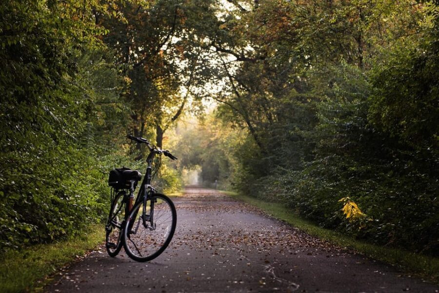 Hamburg: English Bike Tour - Around the Outer Alster Lake - Starting Point and Logistics