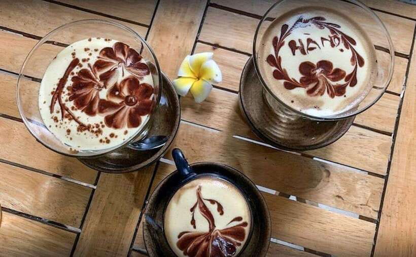 Hanoi: Street Food Walking Group or Private Tour - Pricing and Discounts