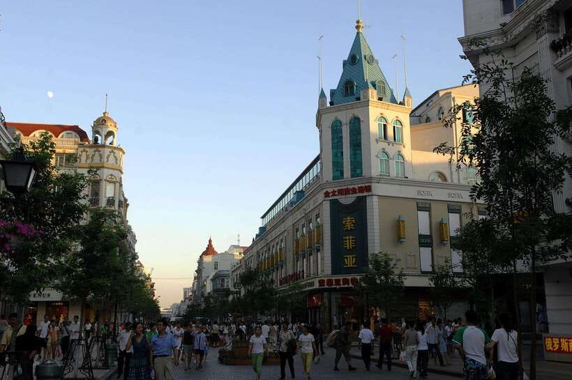 Harbin Ice and Snow Fairyland Private Day Tour - Delving into Harbin’s Culinary Heritage