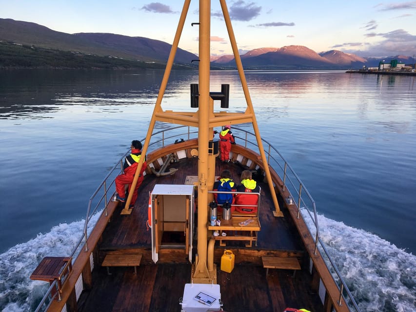 Hauganes: Whale Watching North Iceland - The Experience in Detail