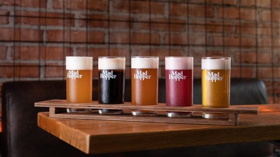 Helsinki: Brewery Tour at Mad Hopper Brewing Company - The Practicalities