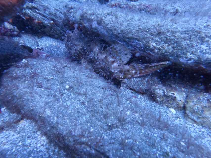 Heraklion: Scuba Diving Experience for Beginners - The Itinerary: What to Expect
