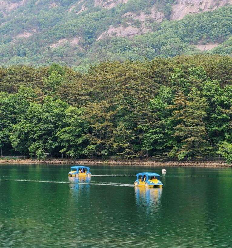 Herb Island : Sanjung Lake : Strawberry : Bidulginang Tour - Analyzing the Value