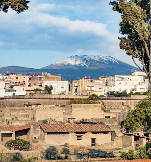 Herculaneum: 2H Private Tour - Practical Details and Value