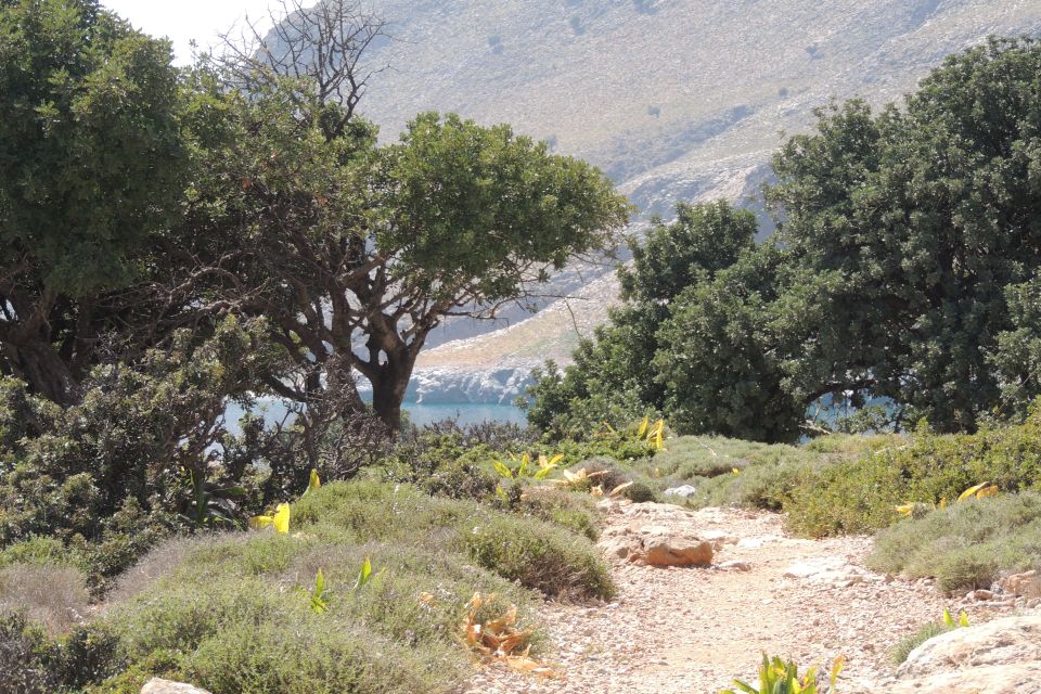 Hersonissos: South Eastern Crete & Sarakinas Gorge Day Tour - Transportation and Overall Experience