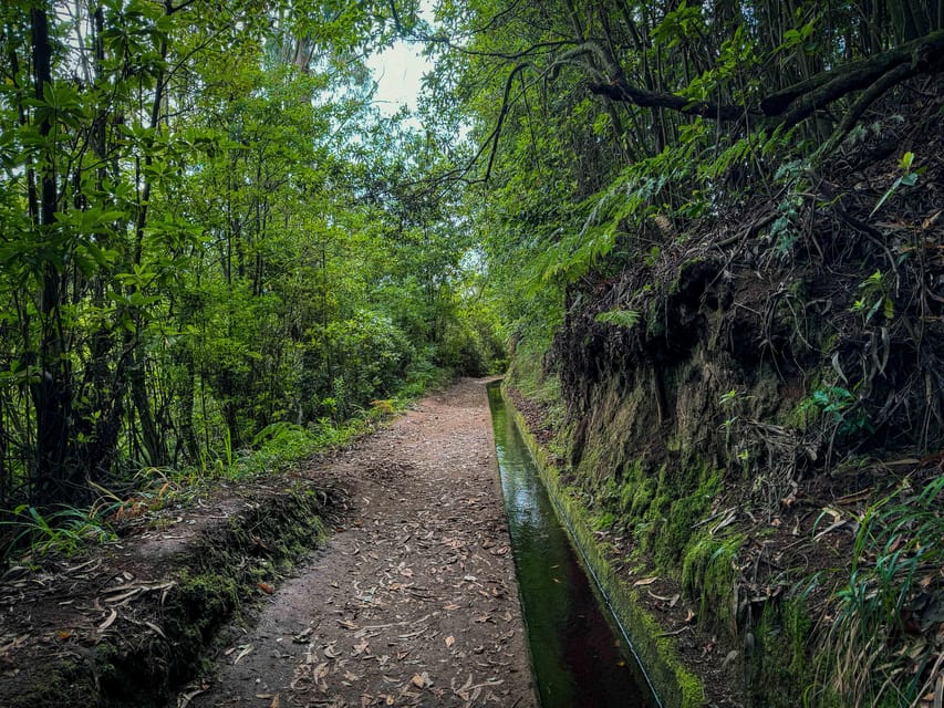 Hiking Madeira: Levada do Rei and the Majestic Laurissilva - The Real Value for Travelers