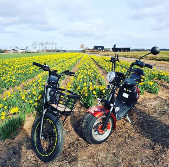 Hillegom: E-Scooter or E-Bike Rental in the Bulb Region - The Sum Up