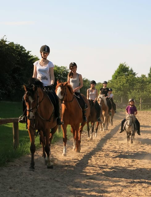 Hirschburg: Day at the stables - The Sum Up