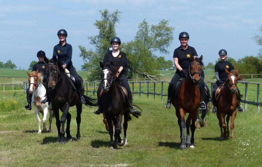 Hirschburg: Horseback riding for beginners - Key Points
