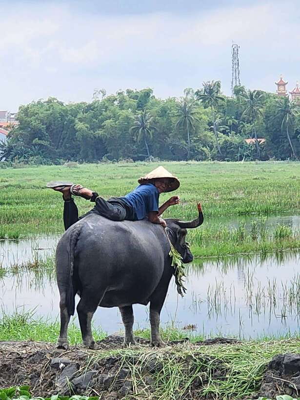 Hoi An: Countryside Villages & River Islands Private Tour - Itinerary Highlights