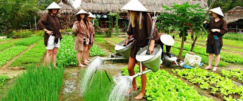 Hoi An Eco Tour : Bike, Farm and Lantern Making Experience