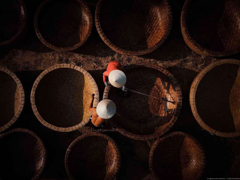 Hoi An: Farming and Fishing Tour With Basket Boat Ride - Highlights of the Tour