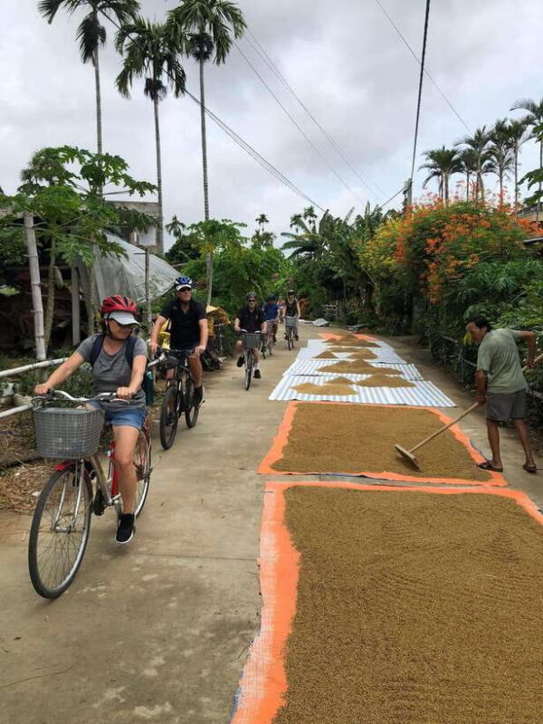 Hoi An: Half-Day Bike Tour With Local Guide - Local Delicacies to Taste