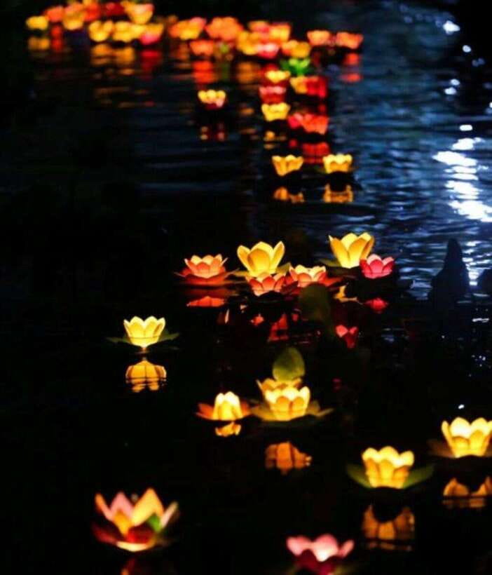 Hoi An: Private Night Boat Trip & Release Lanterns on the River - Experiencing the Night Boat Trip