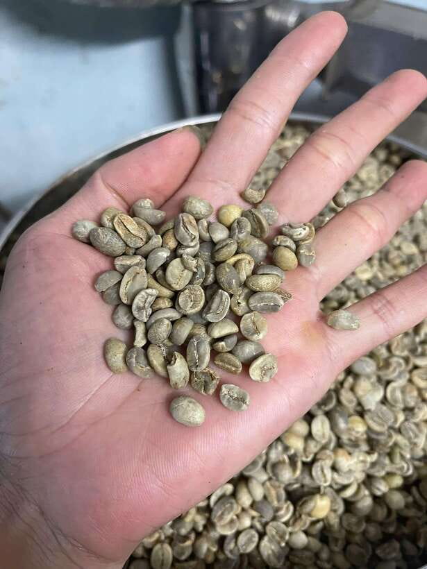 Hoi An: Vietnamese Coffee Making Class With Tasting - Booking Information