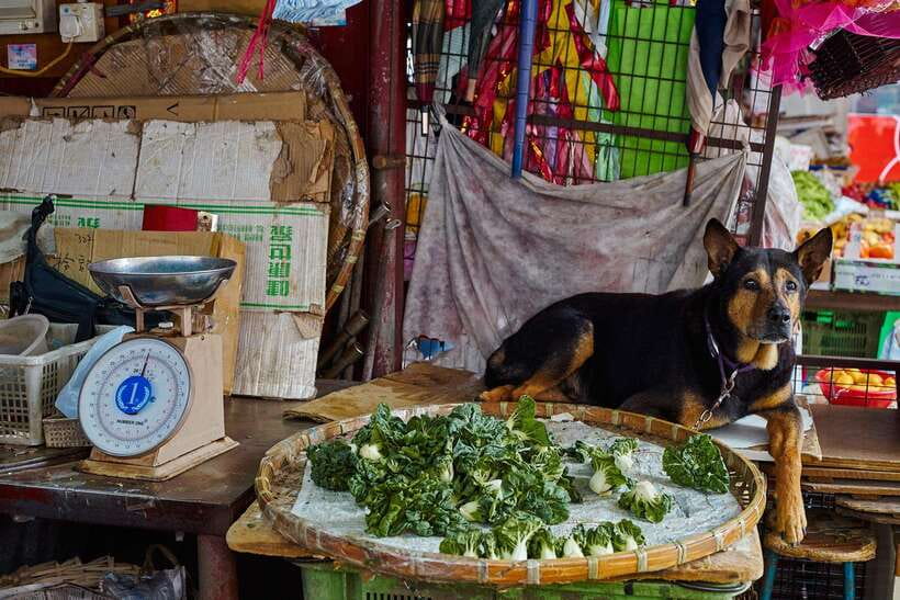 Hong Kong: photographic tour of Kowloon's Yau Tsim Mong district. - What to Expect: The Details