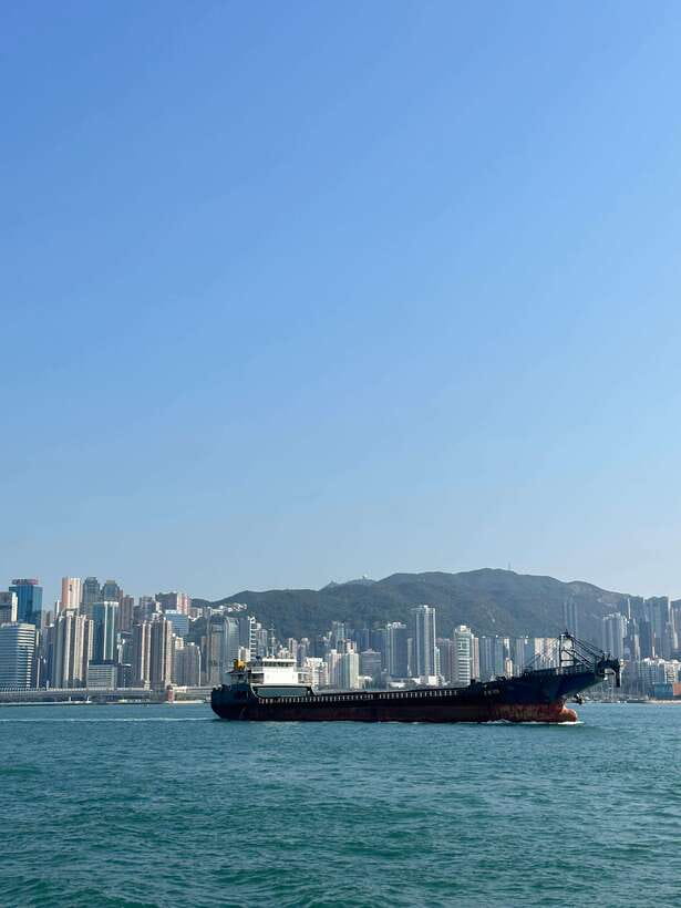 Hong Kong: Wong Tai Sin Temple and Victoria Harbour Tour - The Practical Side: Details and Insights  