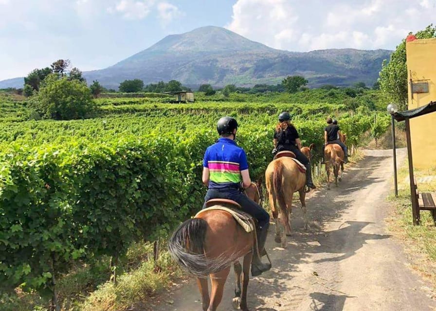 Horse Riding Experience on Vesuvius w/ Wine Tasting - Analyzing the Value