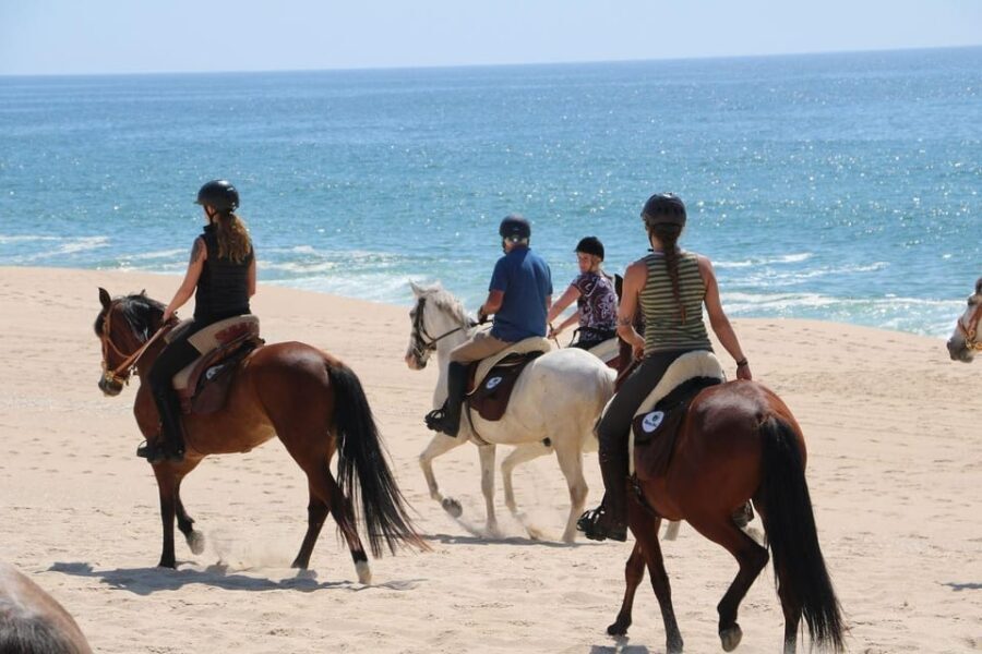 Horse riding in the Valley, near Lisbon - Why this tour might be just right for you