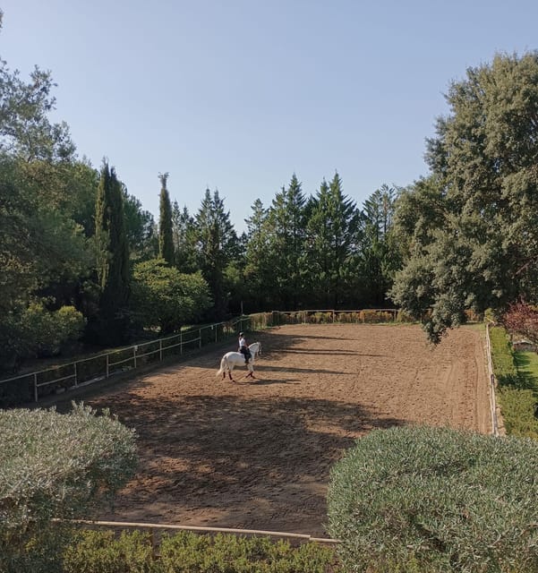 Horse Riding Lesson & Lunch & Regional Wine Tasting - Why the Horse Riding is Worth It