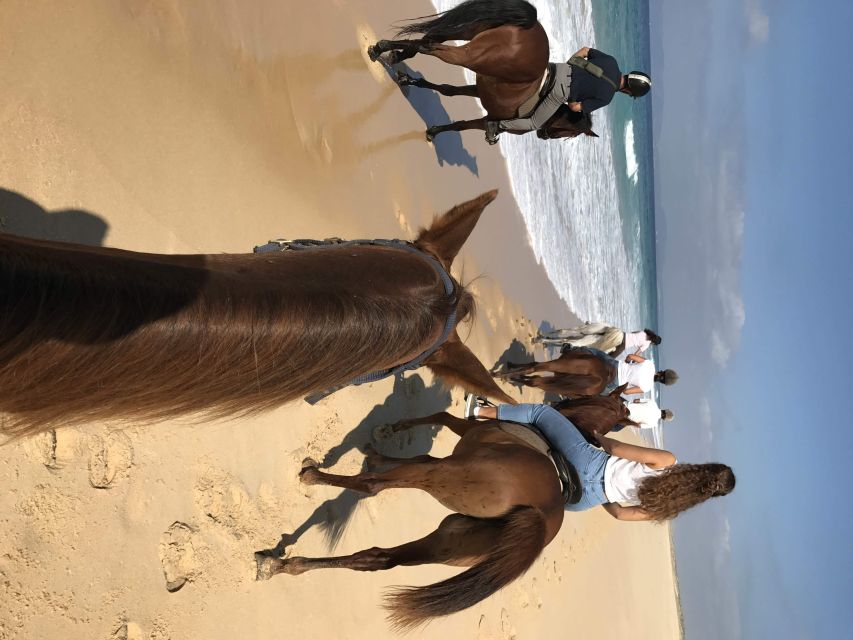 Horse riding on the beach, with private transfer from Lisbon - Authentic Feedback from Past Travelers
