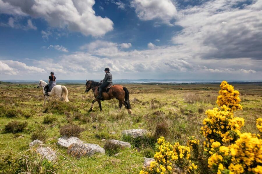 Horse riding the mountain trail. Clare. Guided, 2 hours - Why You Should Consider This Ride