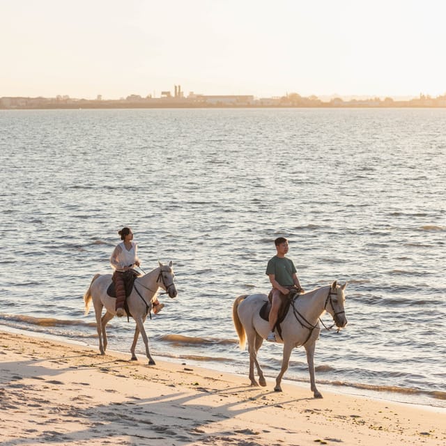 Horseback Riding On The Beach At Sunset - The Itinerary: A Walk Through Peaceful Moments