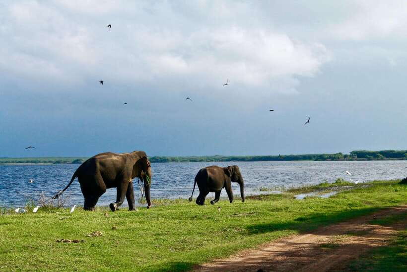 Hurlu eco park safari with jeep & Entrance ticket - The Itinerary Breakdown