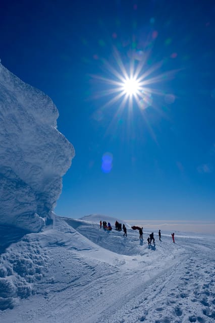 Iceland: Personal Tours with Local Guide - What Travelers Say