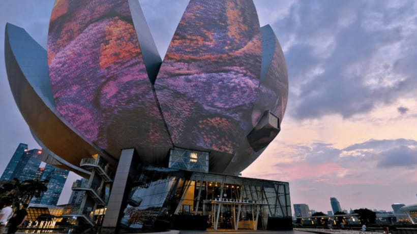 Iconic Singapore Morning Tour: Gardens, Marina Bay & Sentosa - The Photo Stop at Merlion Park