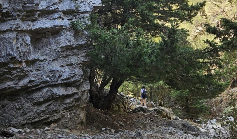 Imbros Gorge: Walk the Trail, Live the Story Private Tour - Walking the Legend: Imbros Gorge