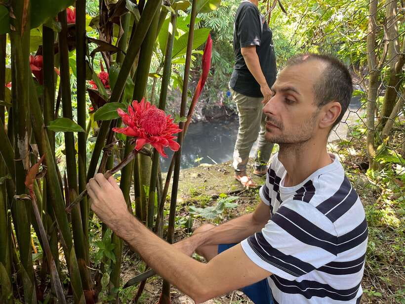 Indonesian Cooking Class in Yogyakarta - The Itinerary: From Garden to Plate