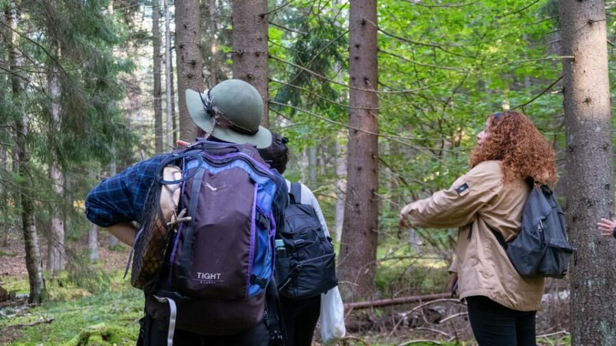 Into the wild - a sensorial experience in Stockholm's woods - Detailed Breakdown of the Itinerary