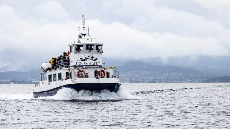 Inverness: Wildlife Watching Cruise to Chanonry Point - Who This Tour Is Perfect For
