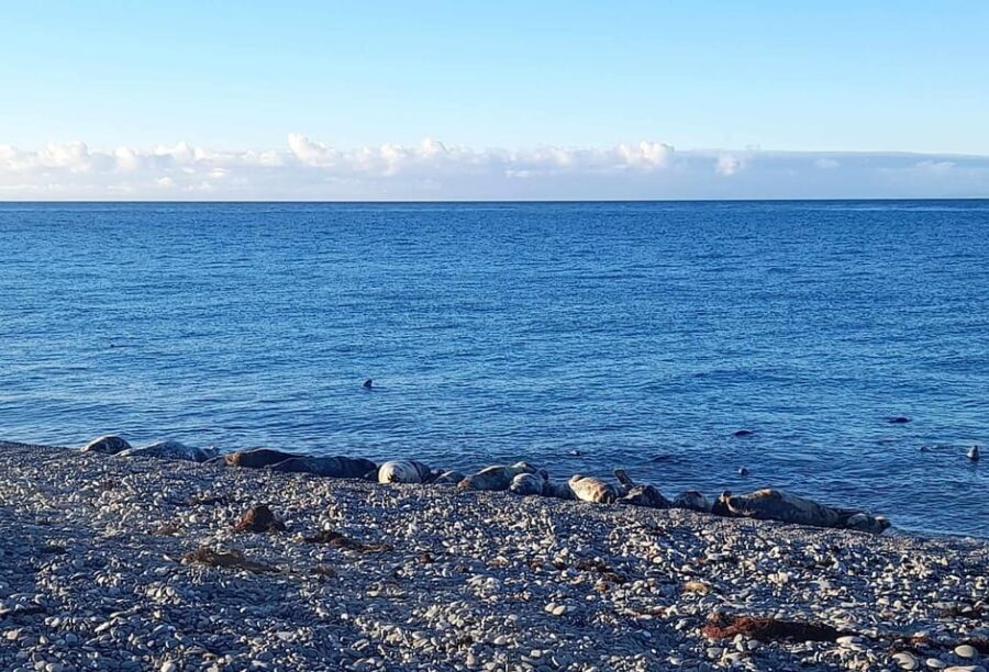 Isle of Man: Half Day Wildlife Adventure Tour - The Itinerary Breakdown