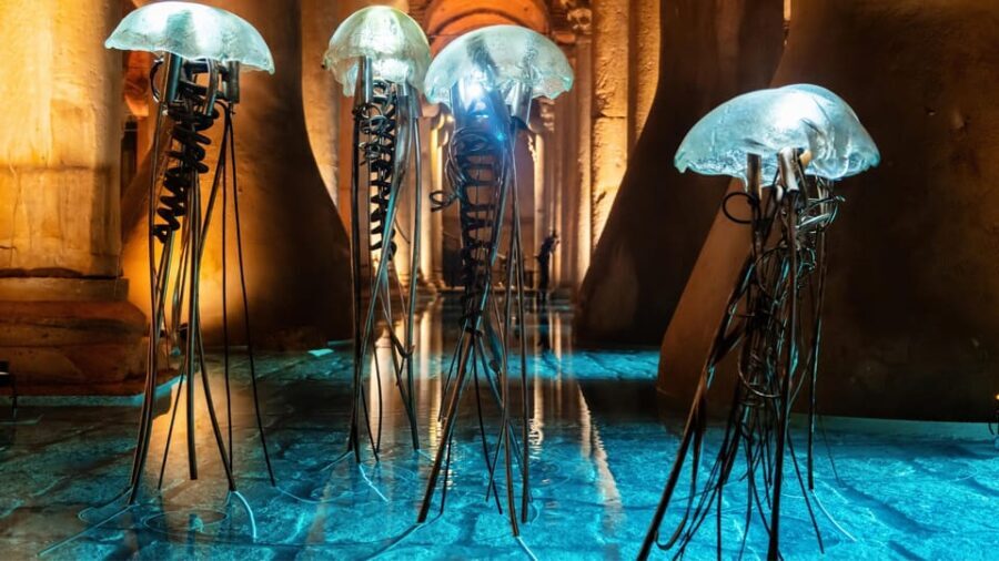Istanbul: Basilica Cistern Guided Tour - What to Expect
