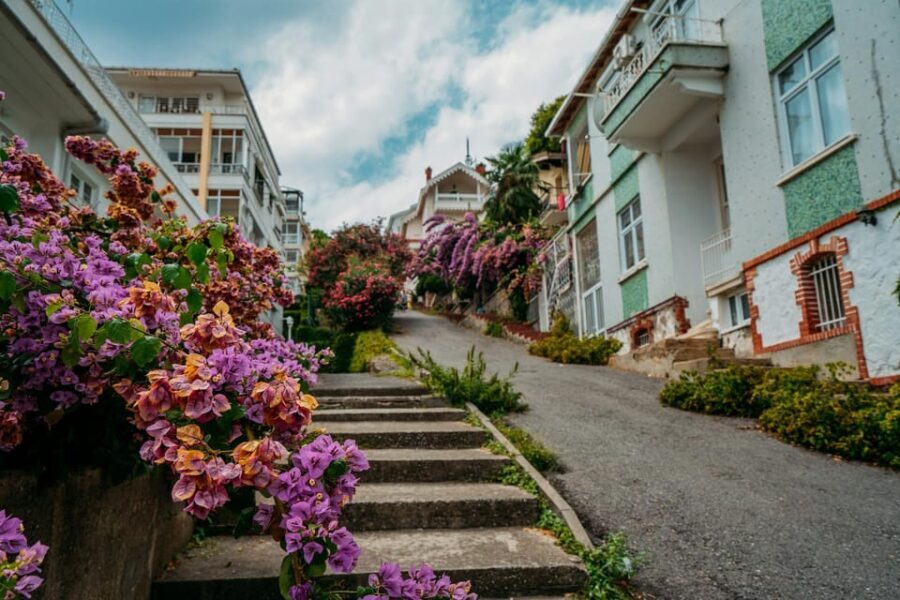 Istanbul: Princes Islands Walking Full-Day Tour - Exploring Büyükada: A Step Back in Time