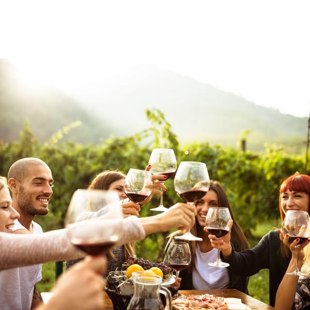 Itria valley: Wine and Olive Oil Tour and Tasting - Why This Tour Works Well